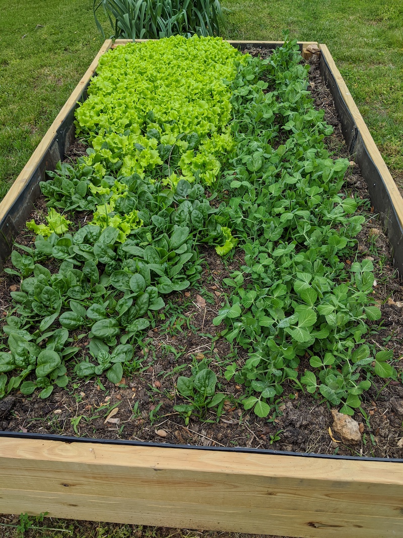 4 x8 raised bed garden kits on Diy Raised Garden Bed