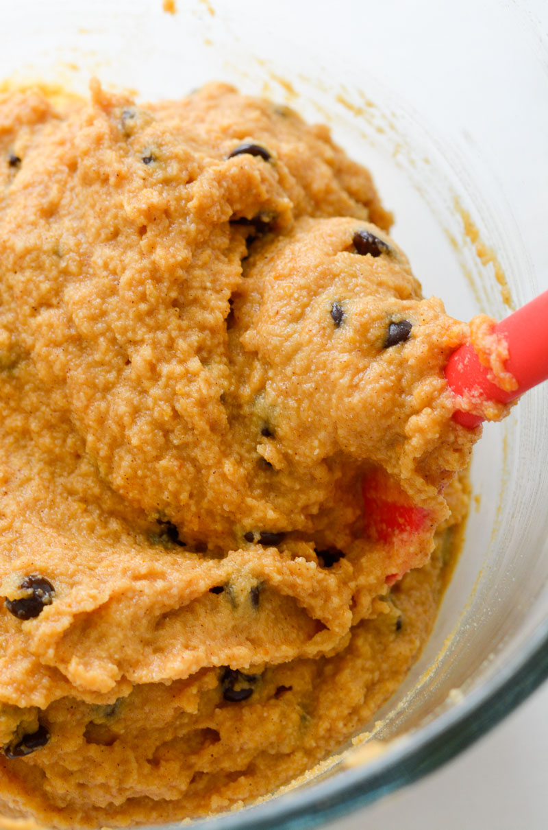 Low Carb Chocolate Chip Pumpkin Bread