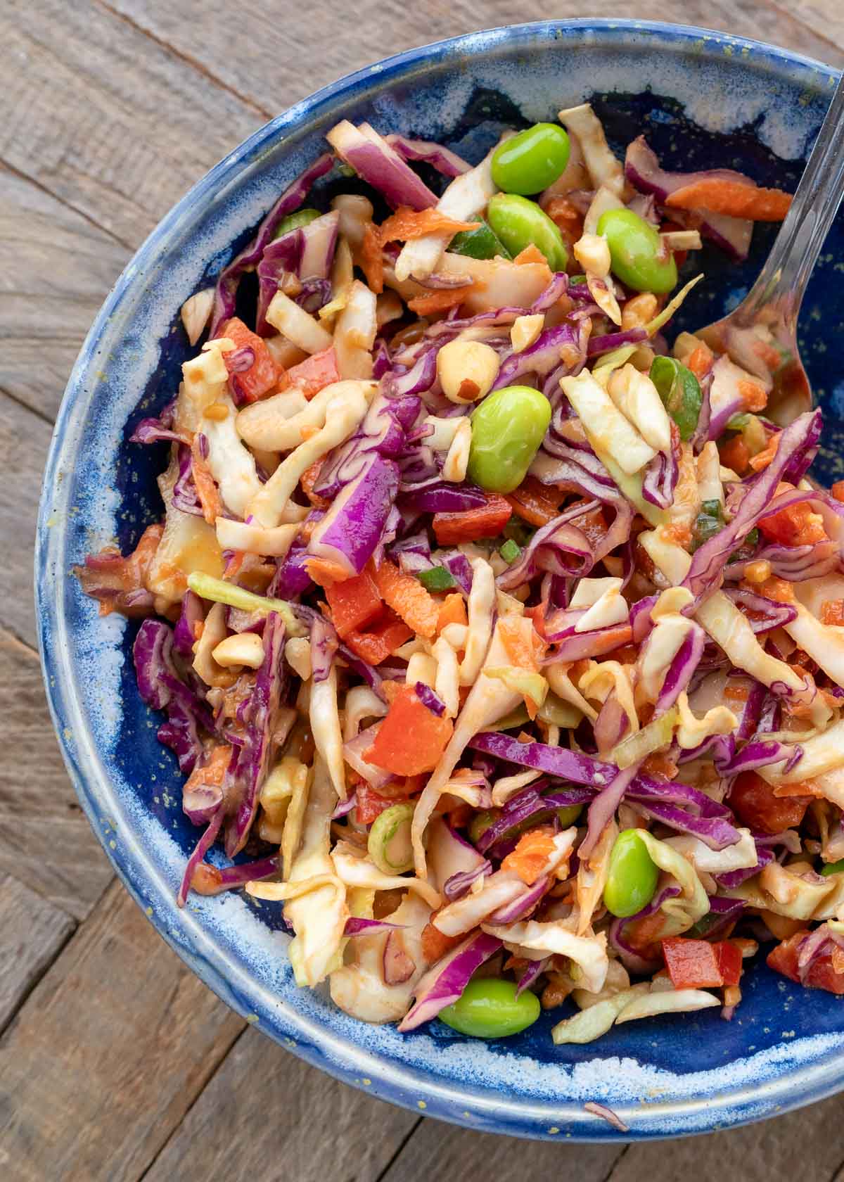 ASIAN SLAW RECIPE intelligence overview